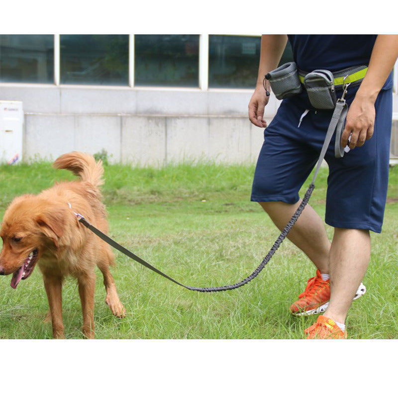 Pawlixo Hands-Free Dog Leash | Adjustable Running & Hiking Lead