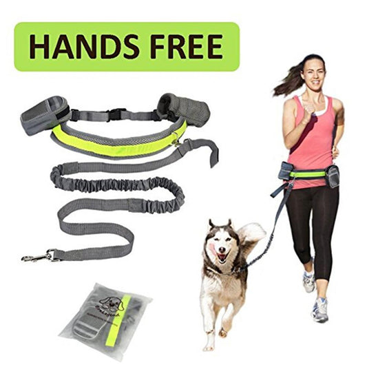 Pawlixo Hands-Free Dog Leash | Adjustable Running & Hiking Lead