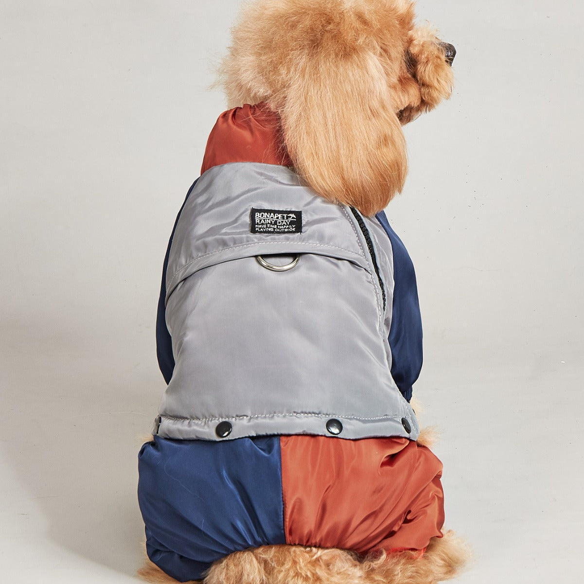 Pet Winter Colour Matching Cotton-padded Clothes Dog Medium Large Dog Warm And Comfortable