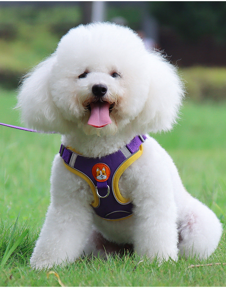 Pawlixo Reflective Dog Harness | Soft Mesh Adventure Chest Strap