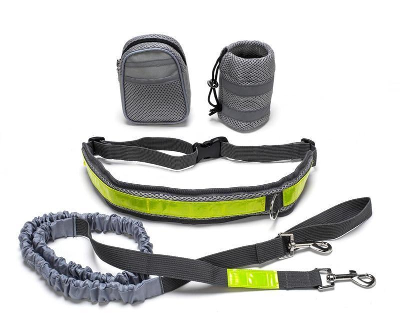 Pawlixo Hands-Free Dog Leash | Adjustable Running & Hiking Lead