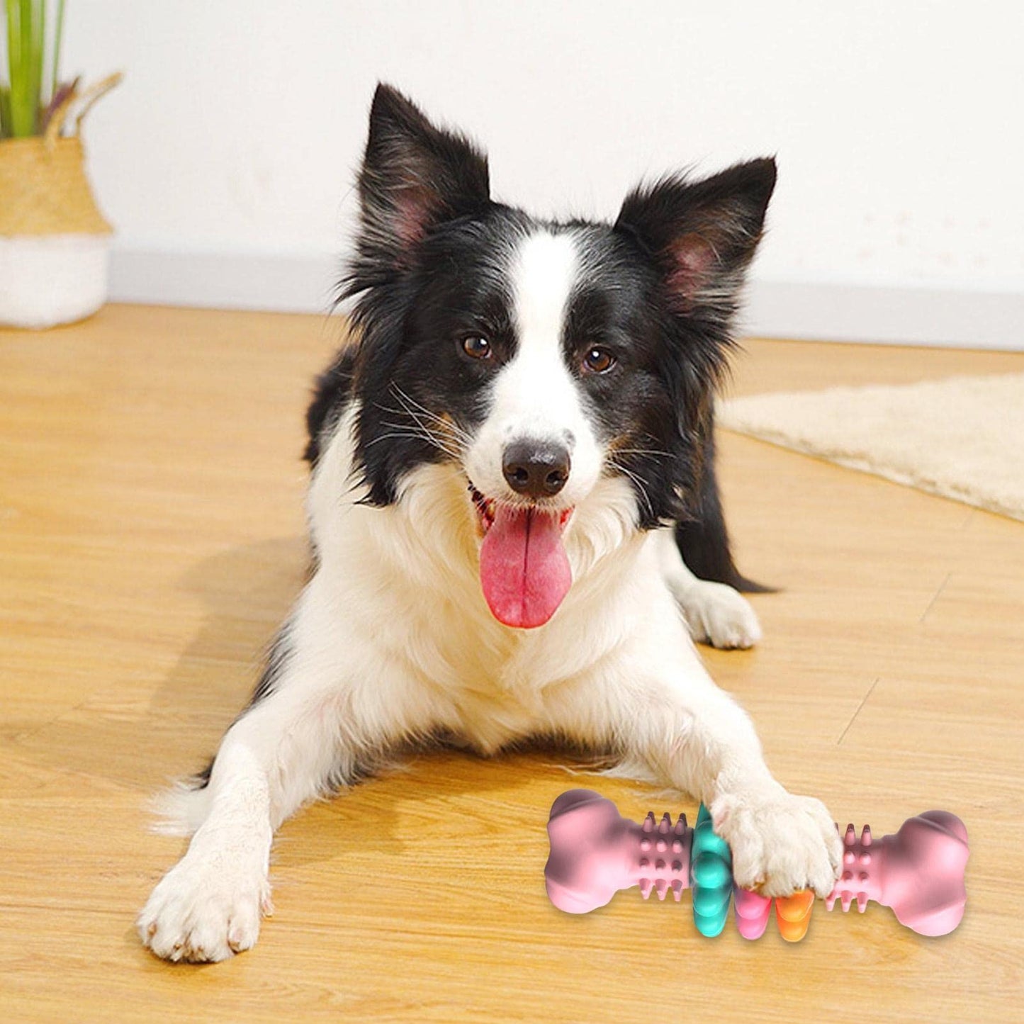 Indestructible Dog Bone Chew Toy | Teeth Cleaning Bite-Resistant Toy