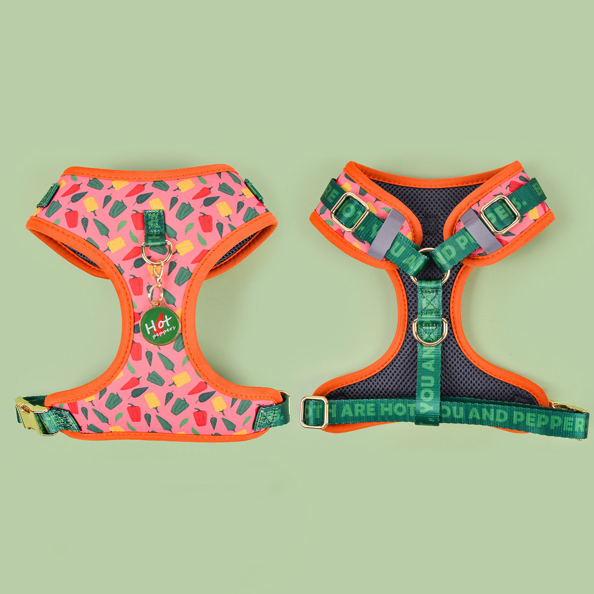 Pawlixo Adjustable Dog Harness | Breathable Chest Strap for Adventures