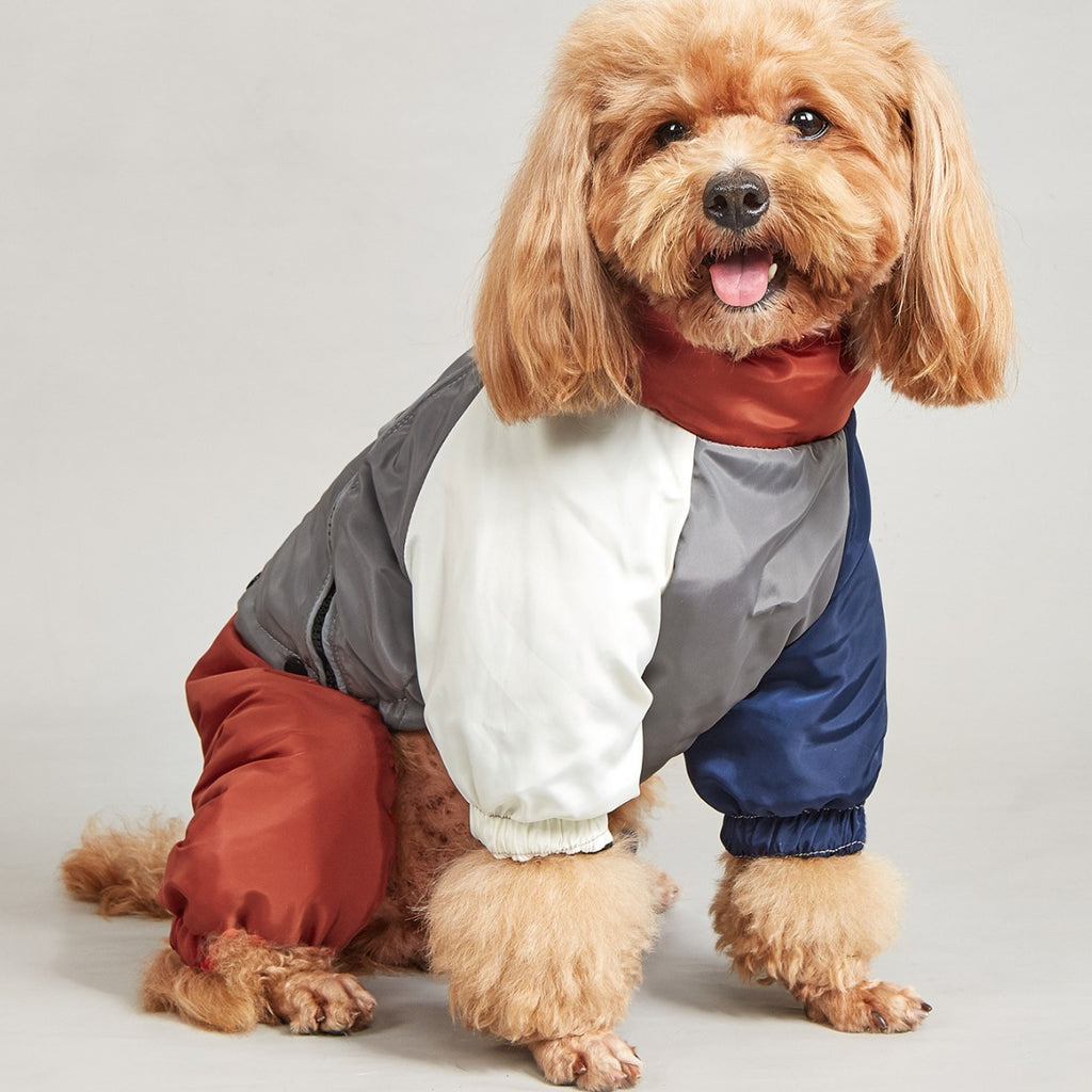 Pet Winter Colour Matching Cotton-padded Clothes Dog Medium Large Dog Warm And Comfortable