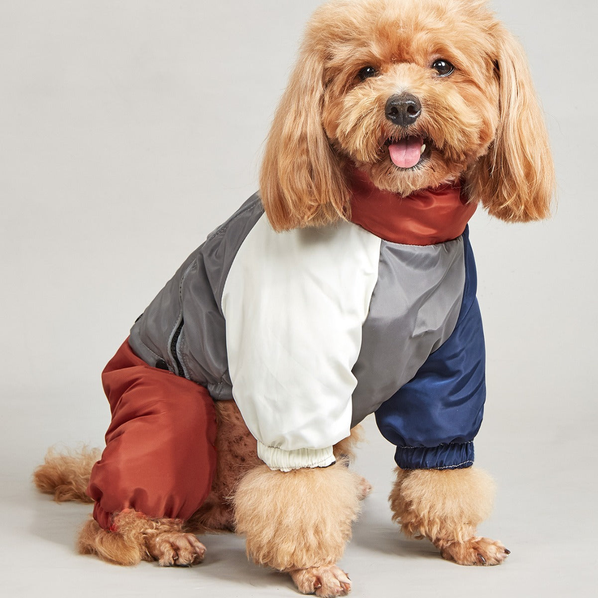 Pet Winter Colour Matching Cotton-padded Clothes Dog Medium Large Dog Warm And Comfortable
