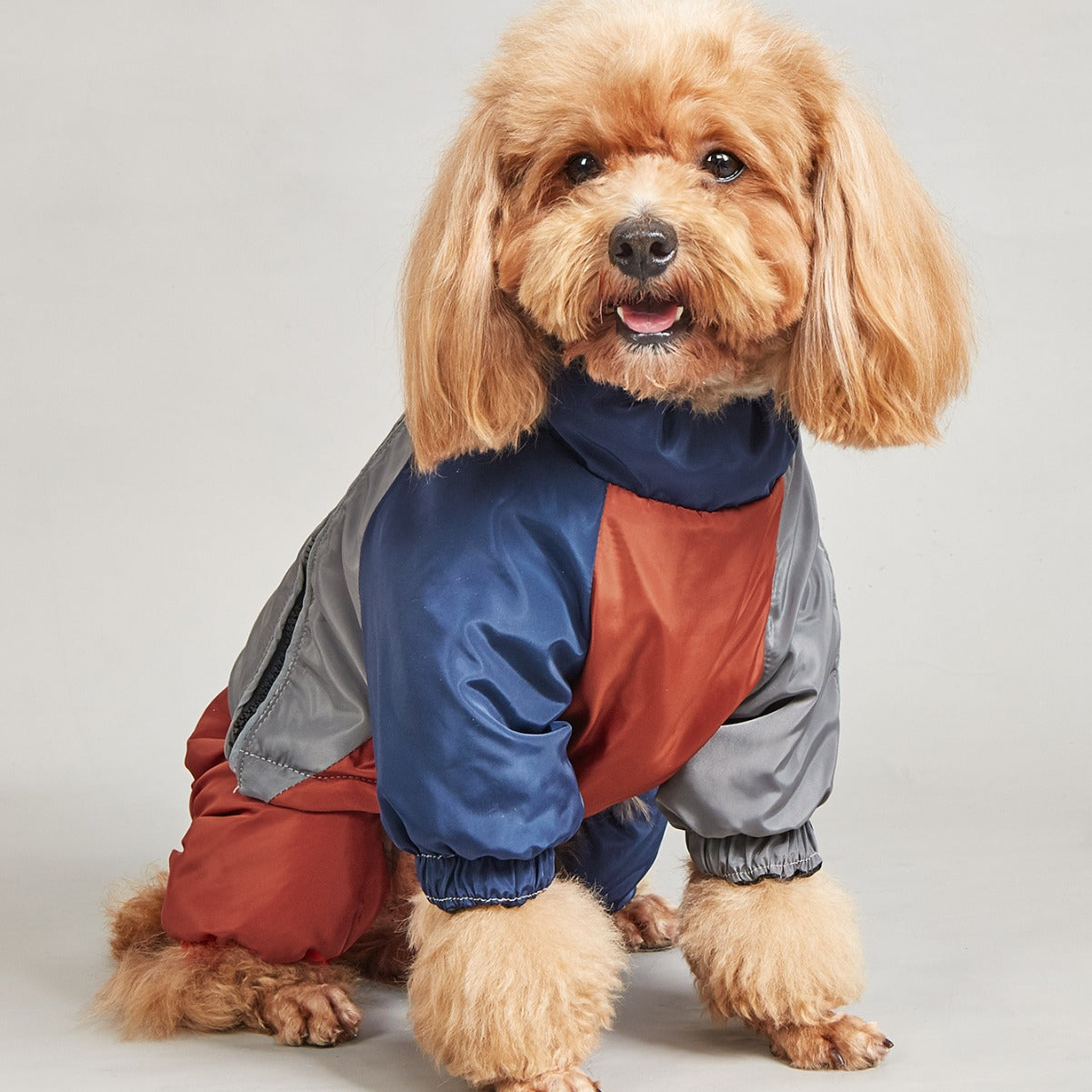 Pet Winter Colour Matching Cotton-padded Clothes Dog Medium Large Dog Warm And Comfortable