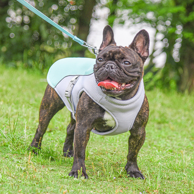 Summer Dog Cooling Vest | Breathable Outdoor Heat Relief Jacket