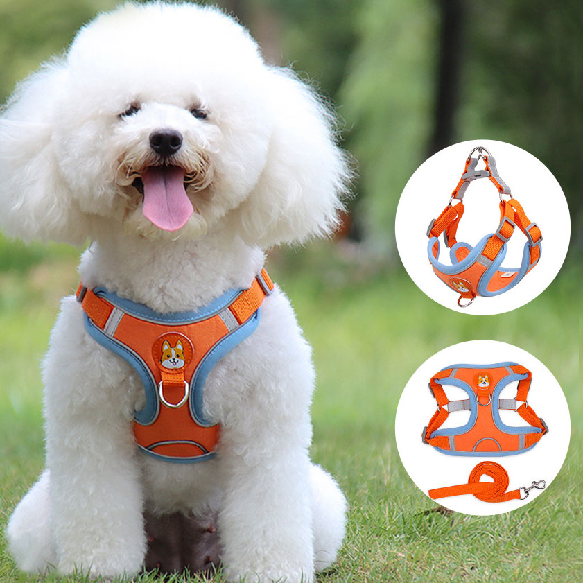 Pawlixo Reflective Dog Harness | Soft Mesh Adventure Chest Strap