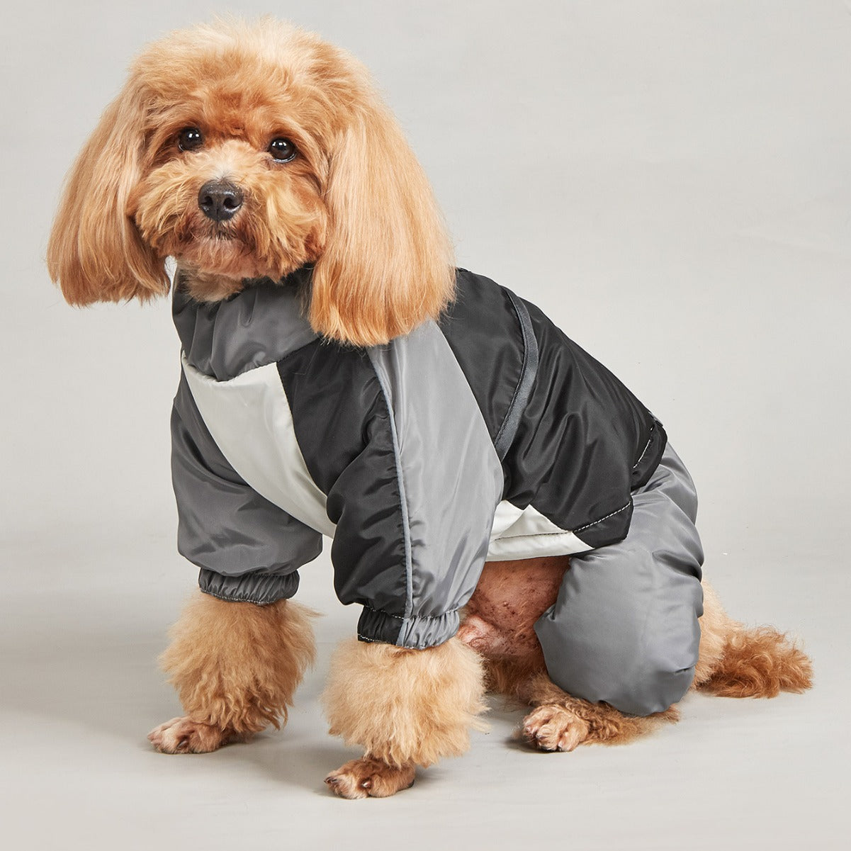 Pet Winter Colour Matching Cotton-padded Clothes Dog Medium Large Dog Warm And Comfortable