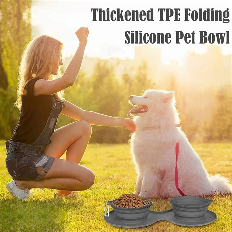 Foldable Travel Pet Bowl | Portable Double Bowl for Dogs & Cats
