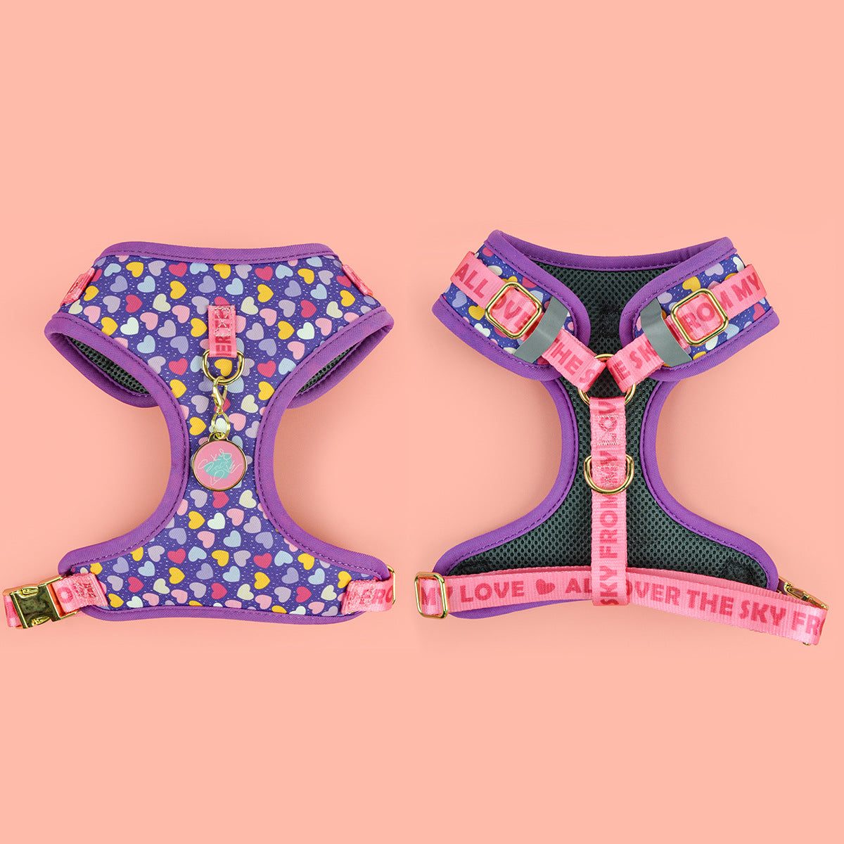 Pawlixo Adjustable Dog Harness | Breathable Chest Strap for Adventures