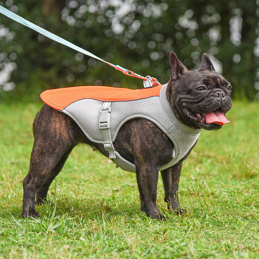 Summer Dog Cooling Vest | Breathable Outdoor Heat Relief Jacket